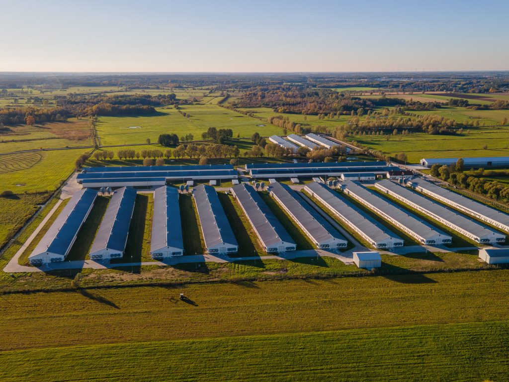 20251020-DJI_0940